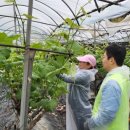송산농업협동조합 - 화성시 | 송산농업협동조합
