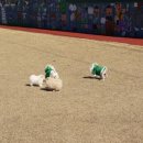 창천초교 이미지