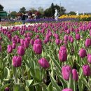 메이의산책 이미지