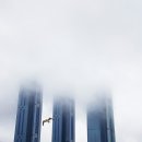 대창세탁 이미지