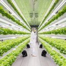 팜스마트 이미지