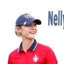 국가대표 챔피언 이미지