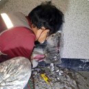 앵고개로 815번길 이미지