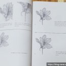 쉽게 그리는 색연필 보테니컬아트 이미지