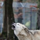 우화 목장 이미지