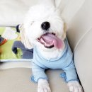 끼리끼리 이미지