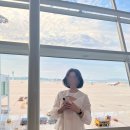 (1일차) 출국, 노스젠빌라 체크인, 아침수영, Toto e Peppino 점심, OVERGROWN Café &amp; Bar 커피...