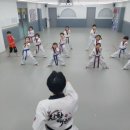 진향태권도장 네이버블로그