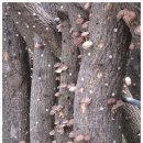 덕산농장 이미지