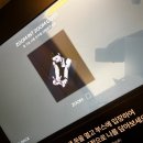 돈룩업동성로 이미지