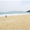 팔레드시즈 이미지