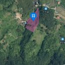 금알공인중개사사무소 이미지