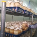 다인영농조합 이미지