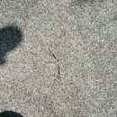 ㈜ 명천 이미지