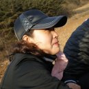 홍성표농장 Daum카페