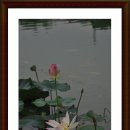 물고기마을 이미지