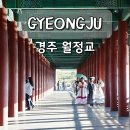 남천둔치2 | 경주 월정교 코스모스 주차장 가족 나들이 산책 역사 여행