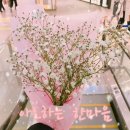 한마음(125) 이미지