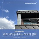 하모리 담채 이미지