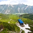 알프스비치 이미지