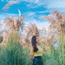 트로페아2 이미지