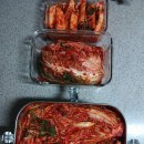 김치를담아내는시인