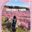 천생산_숲길(등산)2코스 | 창녕 화왕산 진달래 명소 자하곡 등산코스 여자혼자등산