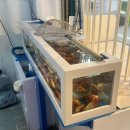 조아수산 이미지