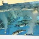 나들이복집식당 이미지