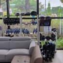 다온약국 | 가을 햇살 가득한 날, 세종 캠핑장 다온숲에서 즐긴 프라이빗 캠크닉