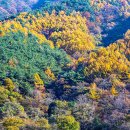 바람결-시간의 흐름 이미지