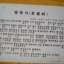 양숙이네 이미지