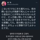 전주인이 고령으로 사망하여 맡게된 고양이 이미지