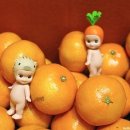 웰빙한의원 이미지