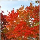 친구행정사사무소 이미지