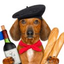 펫 치즈 클럽 이미지