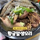 황금오리알 | 경주 오리불고기 맛집 황금알생오리 한방오리백숙 오리훈제 경주여행밥집 모임장소