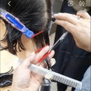 나는 우리집 미용사 이미지