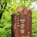 947차 정기산행 점봉산 곰배령(1,164m/강원 인제) 이미지