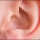 보청기프로 대구서부센타 이미지