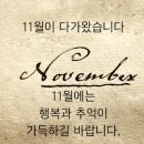 11월6일 강원방 월요일 출석부 이미지