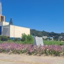 봉평면문화복지센터 이미지