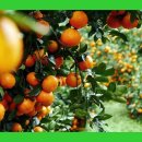 비타민 티스토리