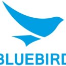 블루버드 이미지