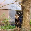 자림농장 이미지