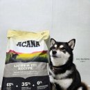 아카독 | 강아지 체중관리 다이어트사료 아카나 라이트앤핏 대용량