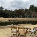 세븐일레븐서귀포남원신례점 | 서귀포 남원 카페 담소요｜한라산뷰 감성 카페 & 오리 있는 정원 카페 🦆🌿