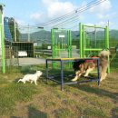 조은사료 이미지