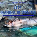 삼가어린이집 | 사천 아라마루 아쿠아리움 하마 연간회원권 내돈내산 후기