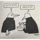 제주핫오리